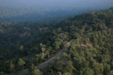 Hasdeo forest